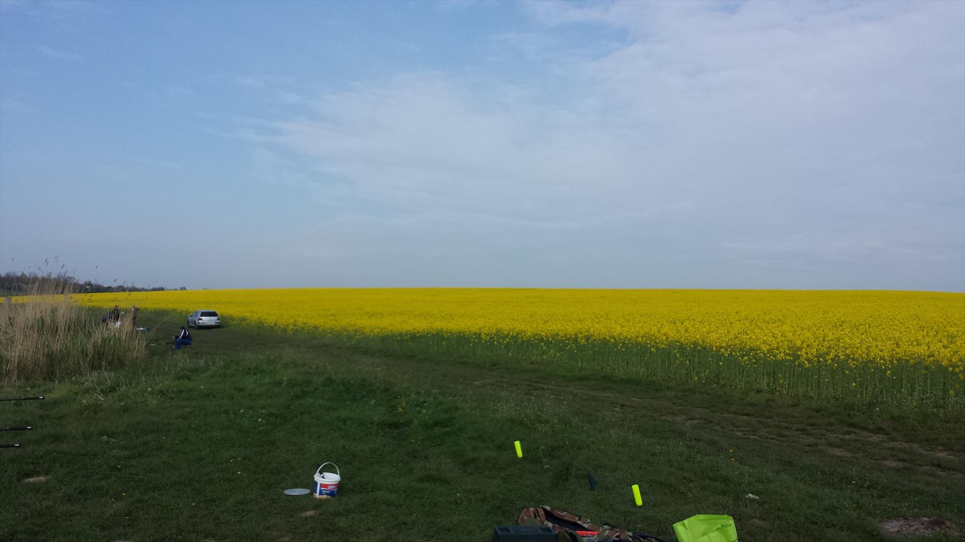 Lupsanu 1 22 aprilie 2014 - 20140422090808.jpg